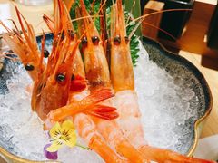 -乌君·酒场·炭火烧鸟(侨城坊店)