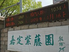-嘉定紫藤园