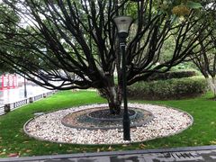 -常州古运河南大街文化旅游区-人民公园