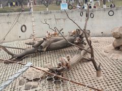 -西安秦岭野生动物园