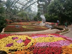 -南山植物园