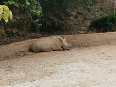 -泉州海丝野生动物世界