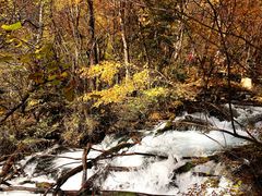 -叠溪松坪沟景区