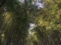 -苏州环秀晓筑养生度假村