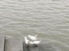 -东湖景区