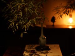 -见山茶事(丽水路店)