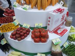 -南宁国际会展中心(会展东博文化旅游区)
