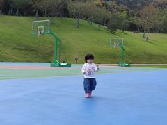 -羊山湖公园