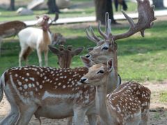 -西安秦岭野生动物园