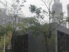 -鹏城八珍深圳特产手信(罗湖店)