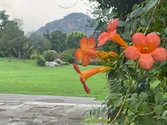 -桃花岛景观公园