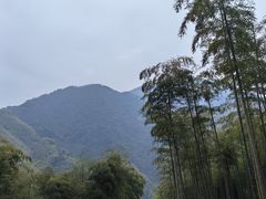 -安吉龙王山峡谷漂流
