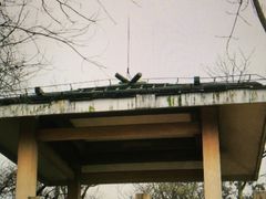 -九曜山