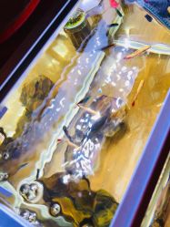 -椿树下·Tattoo纹身工作室