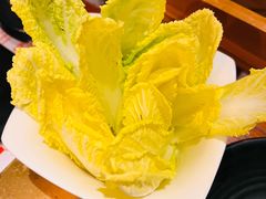 娃娃菜-手选潮汕鲜牛肉火锅(二七广场店)