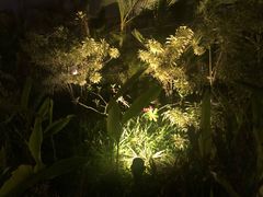 -塞班肯辛顿酒店Kensington Hotel Saipan