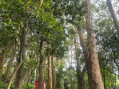 -小南山公园