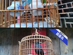 -紫阳古街