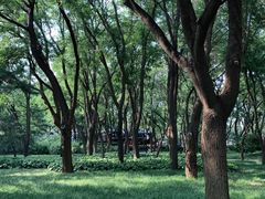 -玲珑塔公园