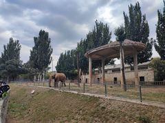 -石家庄市动物园