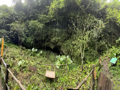 -海口火山口国家地质公园