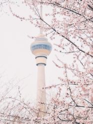 -Oasis Beauty水磨坊科技美肤中心
