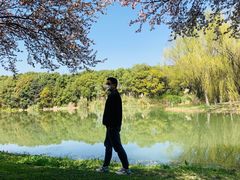 -昆山城市生态森林公园