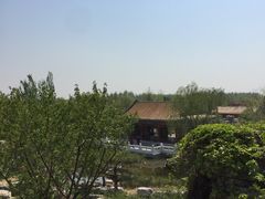 -武清南湖绿博园