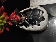 -魔厨私房菜(观音桥店)