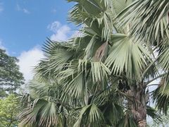 -福田红树林生态公园