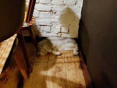 -不舍昼夜咖啡馆