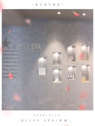 -VELEE·SPA高定疗愈会所