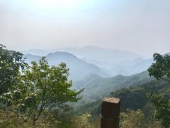 -大岭沟猕猴桃谷风景区