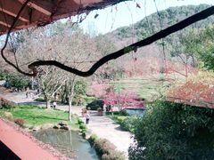 -中国茶叶博物馆(双峰馆区)