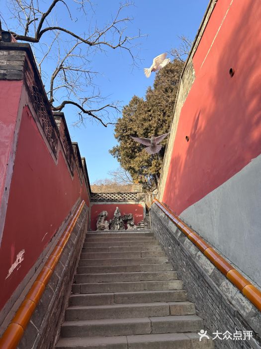 潭柘寺景区图片