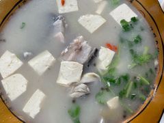 -煲来饱去冷水鱼