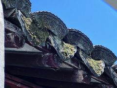 -上海醉白池公园