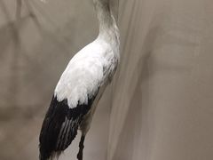 -中国湿地博物馆