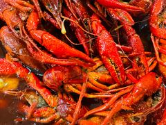 -香满锅老北京羊蝎子火锅·家常菜(新街口店)