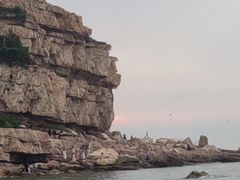 -长岛南北长山旅游景区