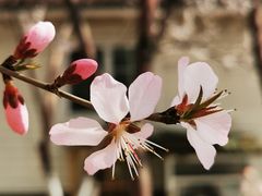 -奥体中心(地铁站)