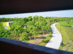 -春花秋色城市公园