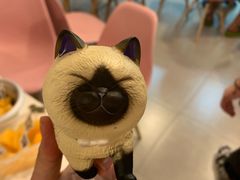 -三花喵·撸猫购宠·宠物生活馆(虹桥南丰城店)