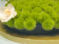 -渝信川菜 · 川味家常菜(财富购物中心店)