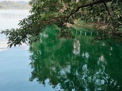 -广州市流溪河国家森林公园