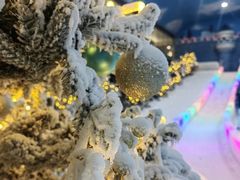 -世界之窗阿尔卑斯冰雪世界