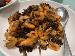 -新吉士·上海菜(浦东LCM置汇旭辉店)