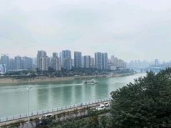 -李子坝梁山鸡(李子坝大鸡哥店)