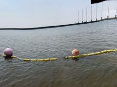 -碧海金沙