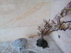 -嘉悦汗蒸时代(曙光路店)